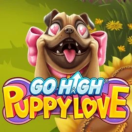 Play the Go High Puppy Love slot by RubyPlay on FairCrown Casino
