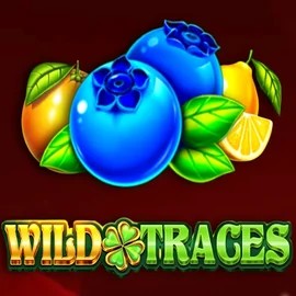 Wild Traces slot visual from Amusnet Interactive available on faircrowncasino.dk